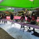 송지초등학교 이미지