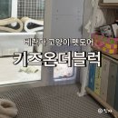 펫스타일 | 베란다 고양이 펫도어, 키즈온더블럭 내돈내산 설치후기