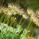 녹유정교육농장 이미지