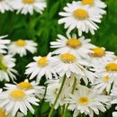 죽곡농장 이미지