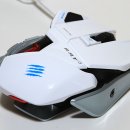 디자인4캣츠