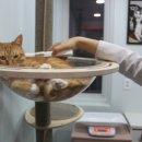 마린파크 동물병원 이미지