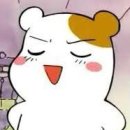 하하약국 이미지