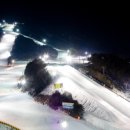 웰리힐리파크 이미지