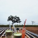 저도어촌체험휴양마을 이미지