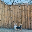 빅 스테이 이미지