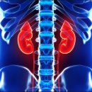 강서비뇨기과의원 이미지