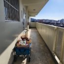 분당-215 이미지