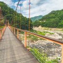 생태터널입구 이미지