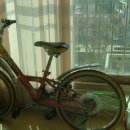 초등학생용 자전거 팝니다 - 판매완료 이미지