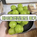 부북농협 | 밀양 부북농협 하나로마트 후기(바이올렛킹 포도)