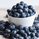 아로니아 이미지