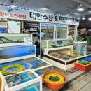 태안서부시장 | 태안서부시장회포장 &#39;태안수산&#39; 싱싱한 활어회 포장후기