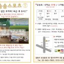 솜솜 스포츠 네이버블로그