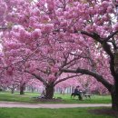 정주희악단 이미지