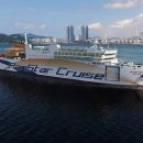 팬스타미라클 이미지