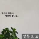보니타살롱 이미지