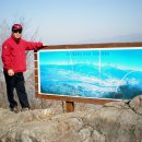 형식농장 이미지