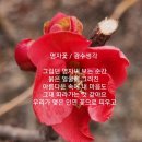 오늘같이좋은날 - 원주시 | 오늘같이좋은날