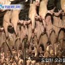 청림농원 이미지