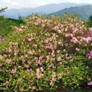 아름다운삶 이미지