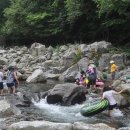 들꽃나라 이미지