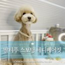디어몽 이미지