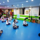 태풍태권도 이미지