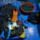 보령경찰서 이미지