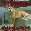 복 이미지