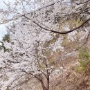 부귀리 마을회관 이미지