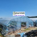플러스딸기 티스토리