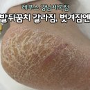 레푸스강남세곡점 이미지