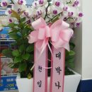 지에스25 양지IC점 이미지