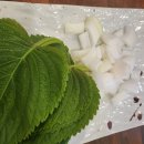 스타덤PC 광주시청점 | 경기광주 맛집 고돌갈비 참숯불무한리필 돼지고기 소갈비살 숙성삼겹살 송정동 메뉴 추천