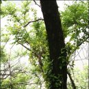 낙동강변4 이미지