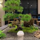 분당수요양병원 이미지