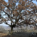 문화목장 이미지