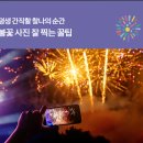 티켓존 이미지