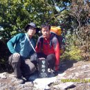 이동면경로식당 이미지