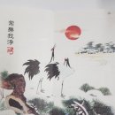 소나무둥지 이미지