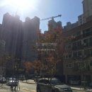 성복역덕산공인중개사사무소 이미지