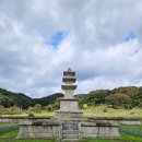 충주농협 가흥지점 | 남한강 물길따라 폐사지 답사 - 원주 거돈사 터