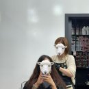살롱드카와이