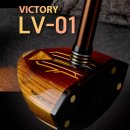 빅토리이불 | 노원 골프샵 최고 국산 빅토리 LV01 파크골프채 최고급 선물 구입