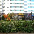 거송공인중개사사무소 이미지