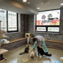 포포앤미루 강동점 이미지