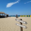 송전공인중개사사무소 이미지