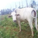 태일농장 이미지