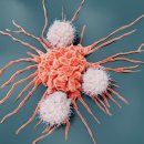 충주위담통합병원 이미지